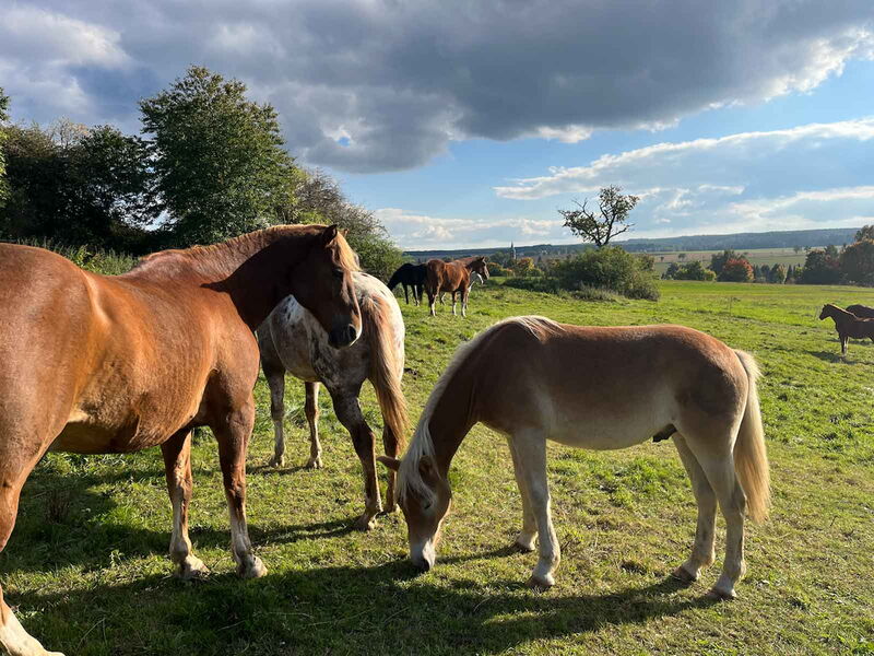Winterwandern im Bielatal